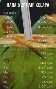 cara membuat pupuk organik dari air kelapa