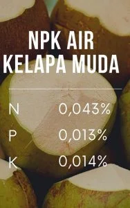 cara membuat pupuk organik dari air kelapa