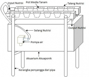 Macam-macam-teknik-bertanam-sistem-hidroponik