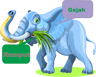 Rumput Gajah pakan sapi, Dimana - mana rumput gajah buat pakan sapi