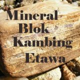 mineral blok untuk kambing