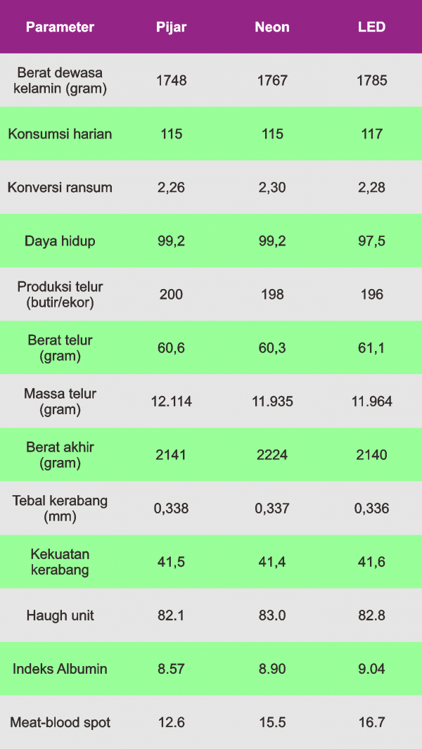 14400 Ayam Petelur Diberi Lampu LED Warna Merah, Seperti ...