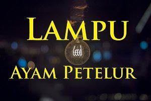 Lampu Kandang Ayam Petelur Yang Baik Dan Efektif Joynim Farm