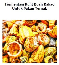 fermentasi pakan kambing kulit buah kakao