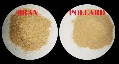 pollard gandum lebih halus daripada wheat bran