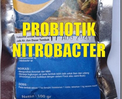 cara membuat probiotik nitrobacter