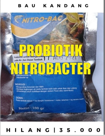 cara membuat probiotik nitrobacter