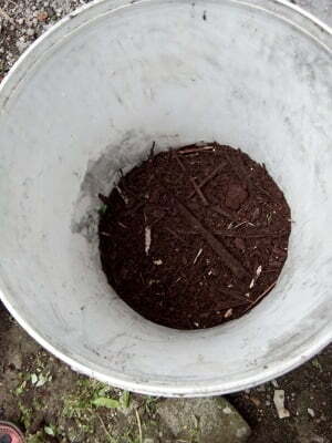 cara membuat pupuk kompos dari dedaunan - bahan 3