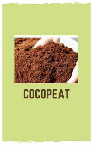 manfaat sabut kelapa untuk diproses menjadi cocopeat