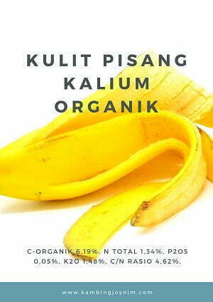 sumber kalium organik dari kulit pisang