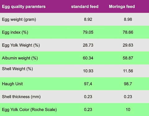 moringa for quails