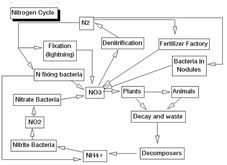 how to culture nitrosomonas and nitrobacter