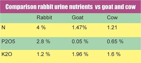 rabbit urien as fertilizer