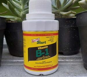 cara menggunakan vitamin b1 pada tanaman