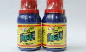 cara menggunakan vitamin b1 pada tanaman